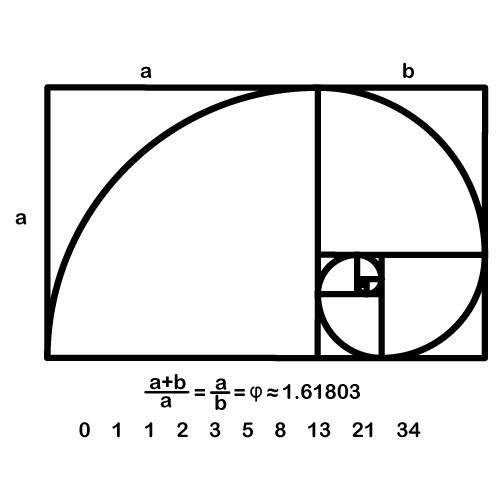 autocolant decorativ spirala lui fibonacci