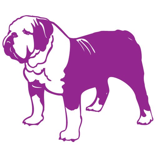 Sticker caine bulldog englez WCC015