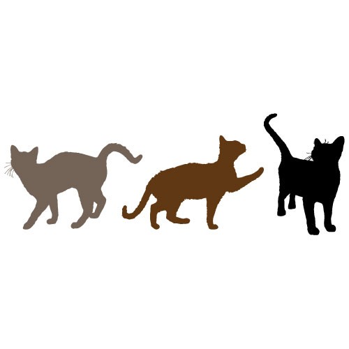 Sticker pisici WCAC17