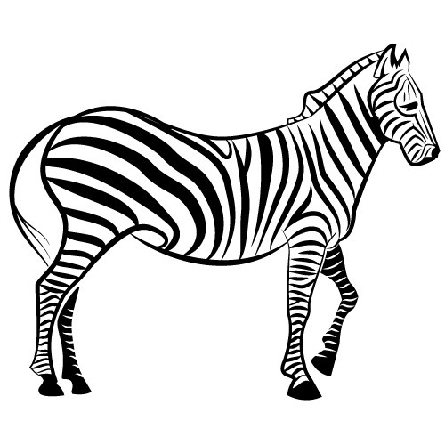 autocolant de perete zebra