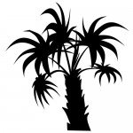 Autocolant palmier WLC127