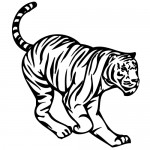 Sticker tigru WLAN29