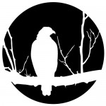 Sticker vultur WLAN32