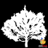 Sablon copac SLC114