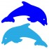 autocolant doi delfini