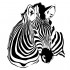 autocolant de perete zebra