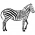 Wall sticker zebra